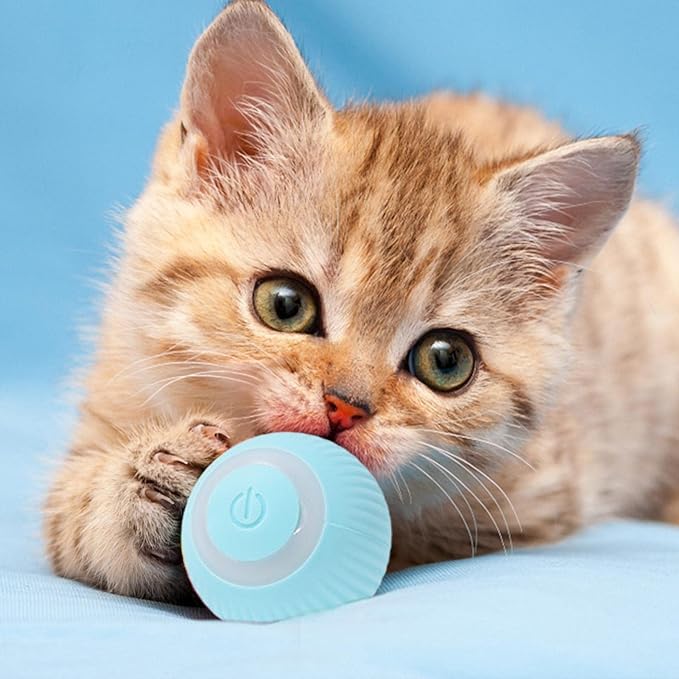 PowerBall Pelota Inteligente para Gatos