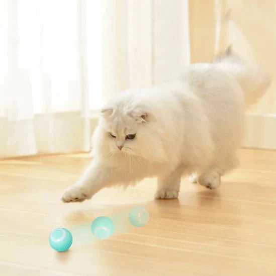 PowerBall Pelota Inteligente para Gatos