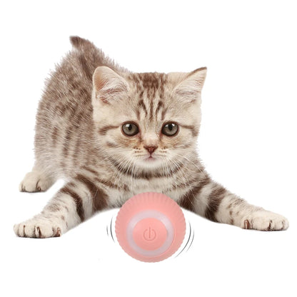 PowerBall Pelota Inteligente para Gatos