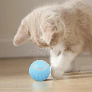 PowerBall Pelota Inteligente para Gatos