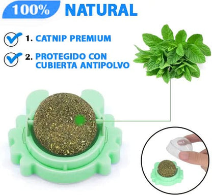 Catnip Ball Juguete para Gato de Hierba Natural