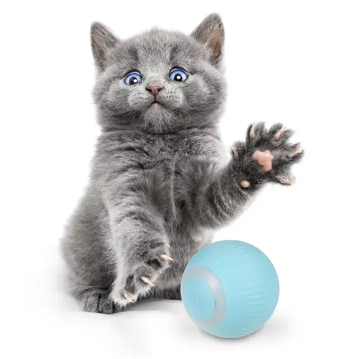 PowerBall Pelota Inteligente para Gatos