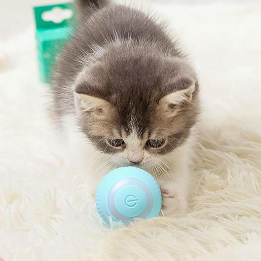 PowerBall Pelota Inteligente para Gatos